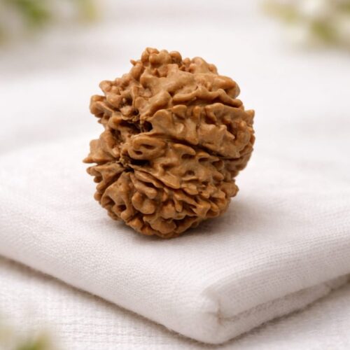 Original Gaurishankar Rudraksha – Certified Sacred Bead for Love & Marital Harmony