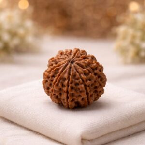 9-mukhi-rudraksha-durga-rudraksha-for-protection-strength-fearlessness