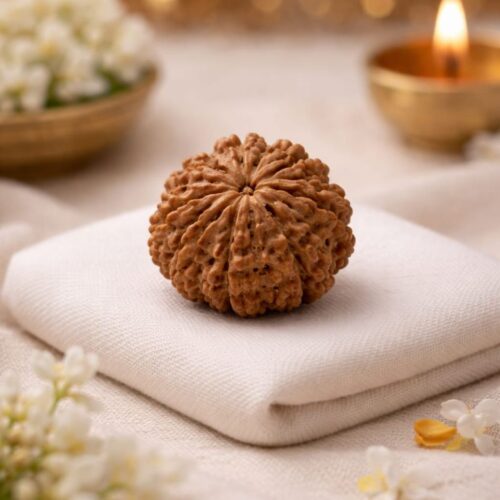 11 Mukhi Rudraksha (Hanuman Rudraksha) – For Courage, Protection & Success